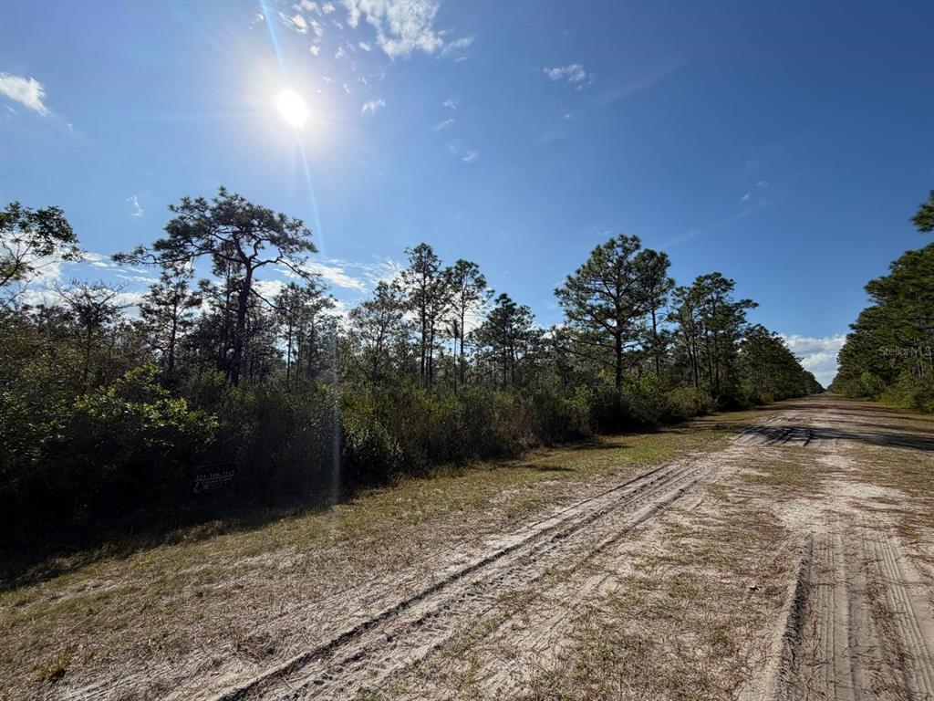 A dirt road runs alongside a wooded lot under a bright, sunny sky — 405 BOUGAINVILLE DRIVE, INDIAN LAKE ESTATES, FL