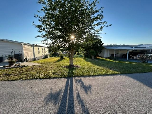 A large tree stands in a grassy yard between two manufactured homes — 354 EDGEWOOD, LAKE WALES, FL