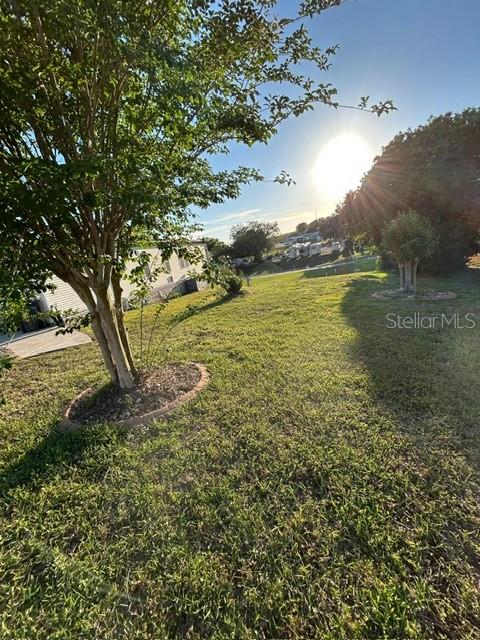 A grassy yard features a large tree in the foreground and a house in the distance — 354 EDGEWOOD, LAKE WALES, FL