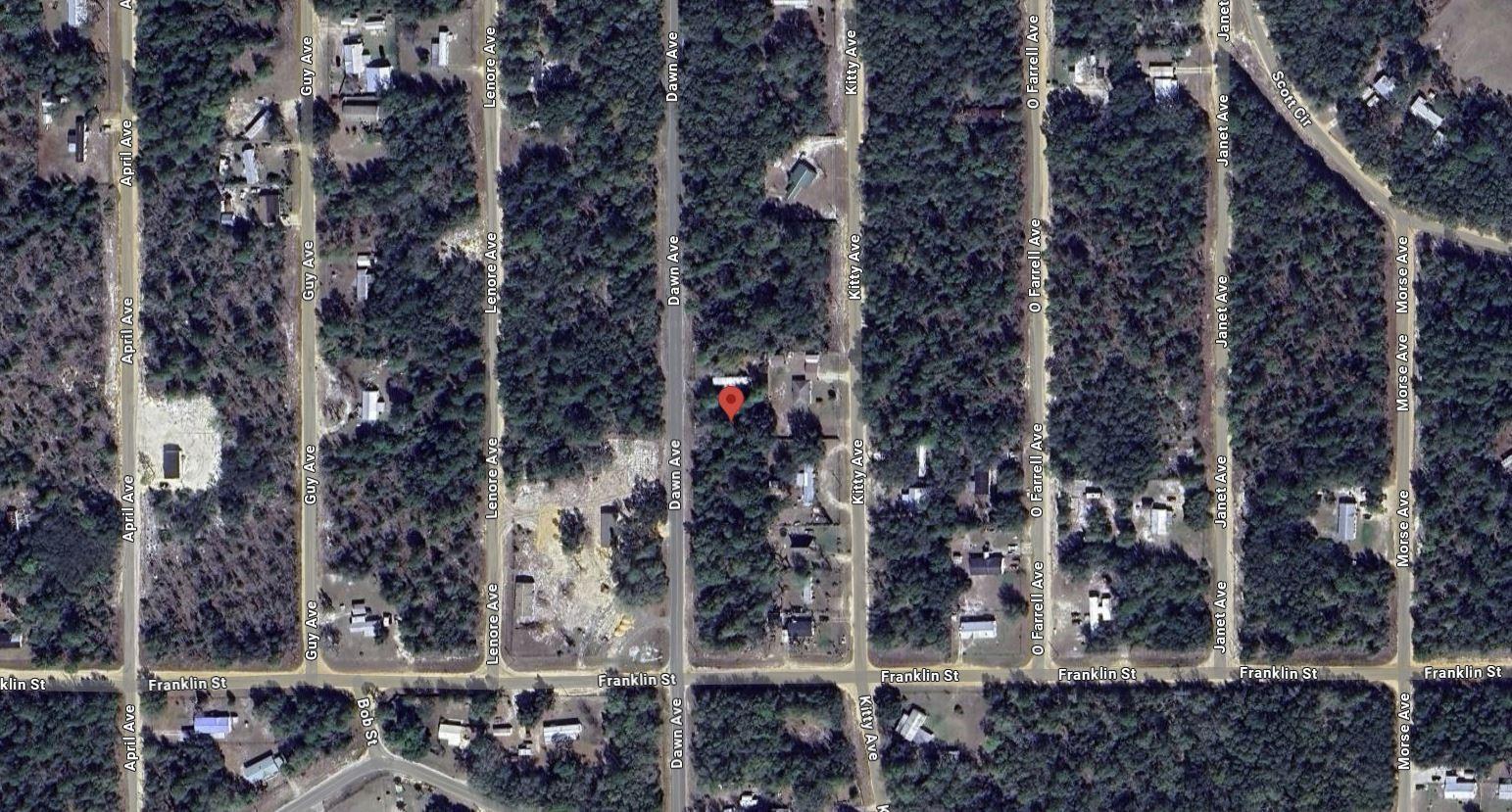 This is a satellite map view of a wooded residential area with a red location pin — Tbd Dawn Avenue, FL 32148, FL