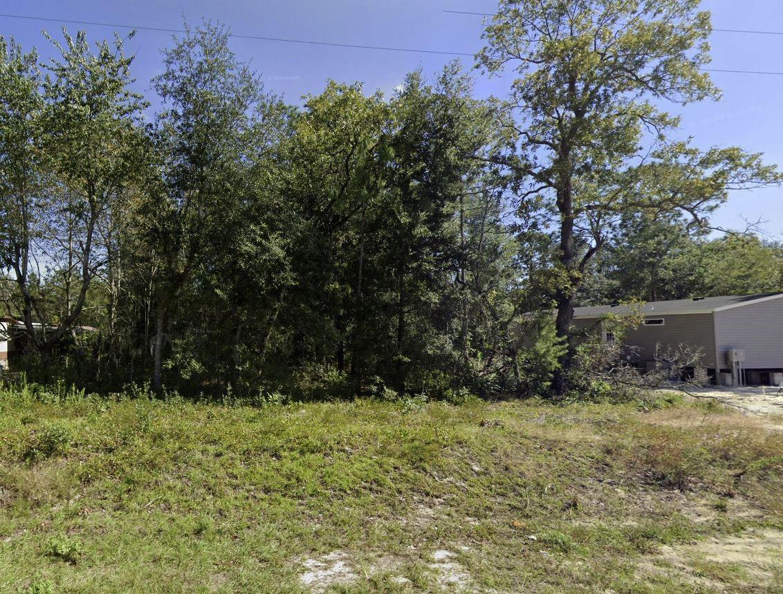 A grassy, undeveloped lot features dense trees and a partial view of a neighboring house — Tbd Dawn Avenue, FL 32148, FL