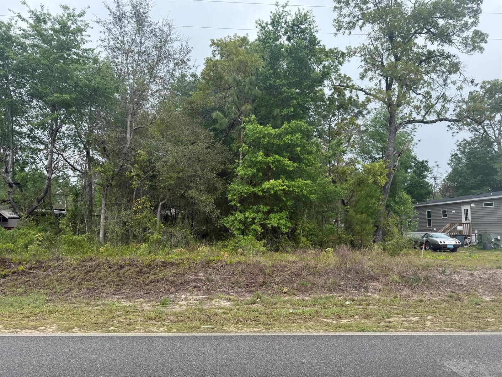 A vacant, wooded lot sits next to a gray manufactured home and a parked car — Tbd Dawn Avenue, FL 32148, FL