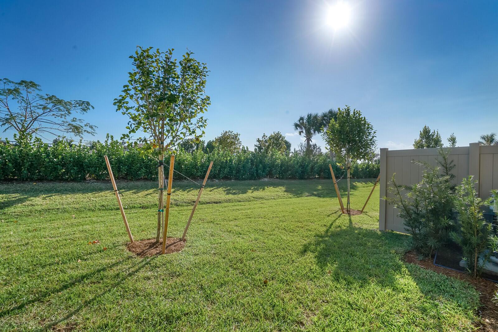 A grassy backyard features two young trees with support stakes and a tan privacy fence — 8656 Escue Street, Lake Worth FL 33467, LAKE WORTH, FL
