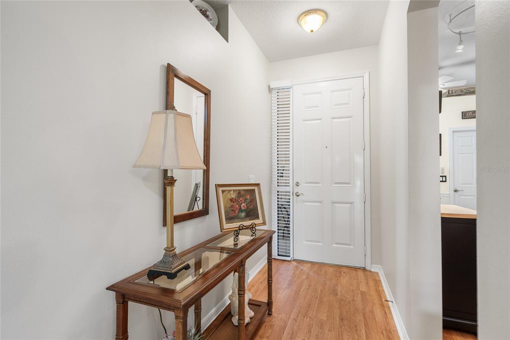 An entryway features a wood console table, a lamp, a mirror, and a white door — 7307 CLEOPATRA DRIVE, LAND O LAKES, FL