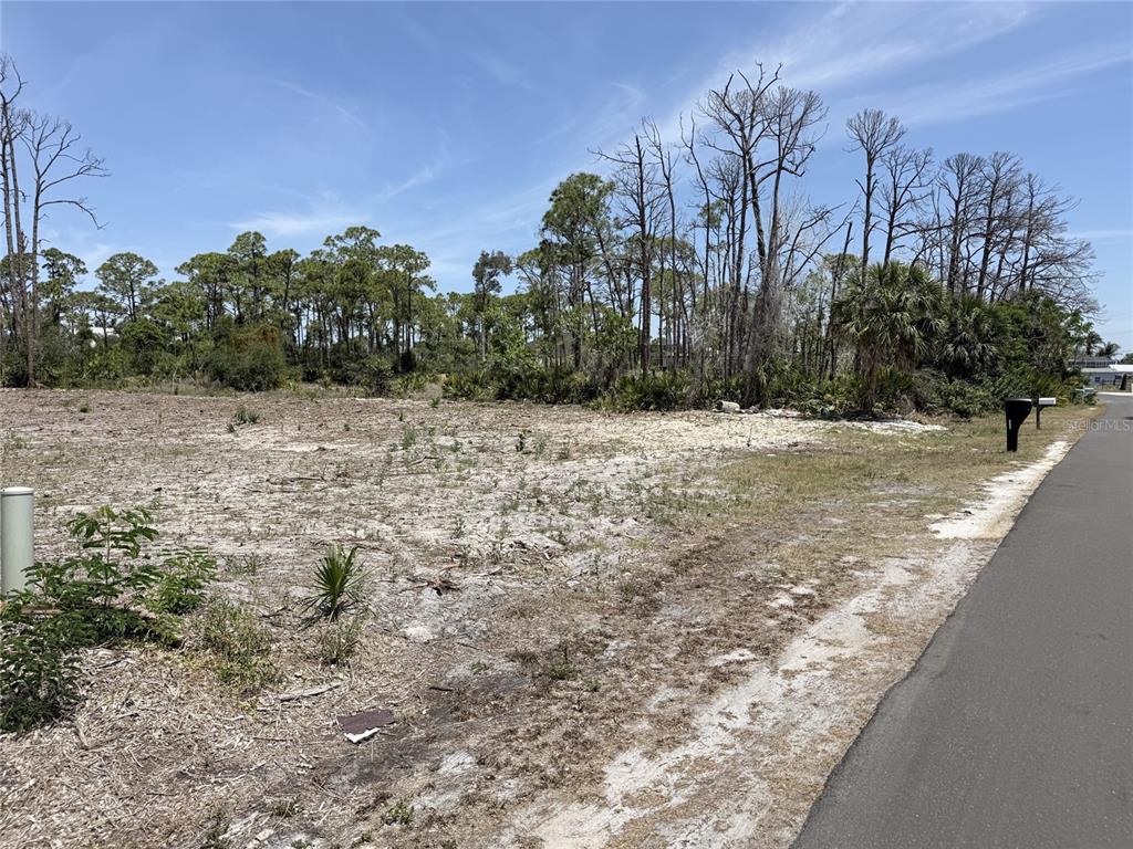 A vacant, sandy residential lot sits next to an asphalt road with trees in back — 1890 VIRGINIA AVENUE, ENGLEWOOD, FL