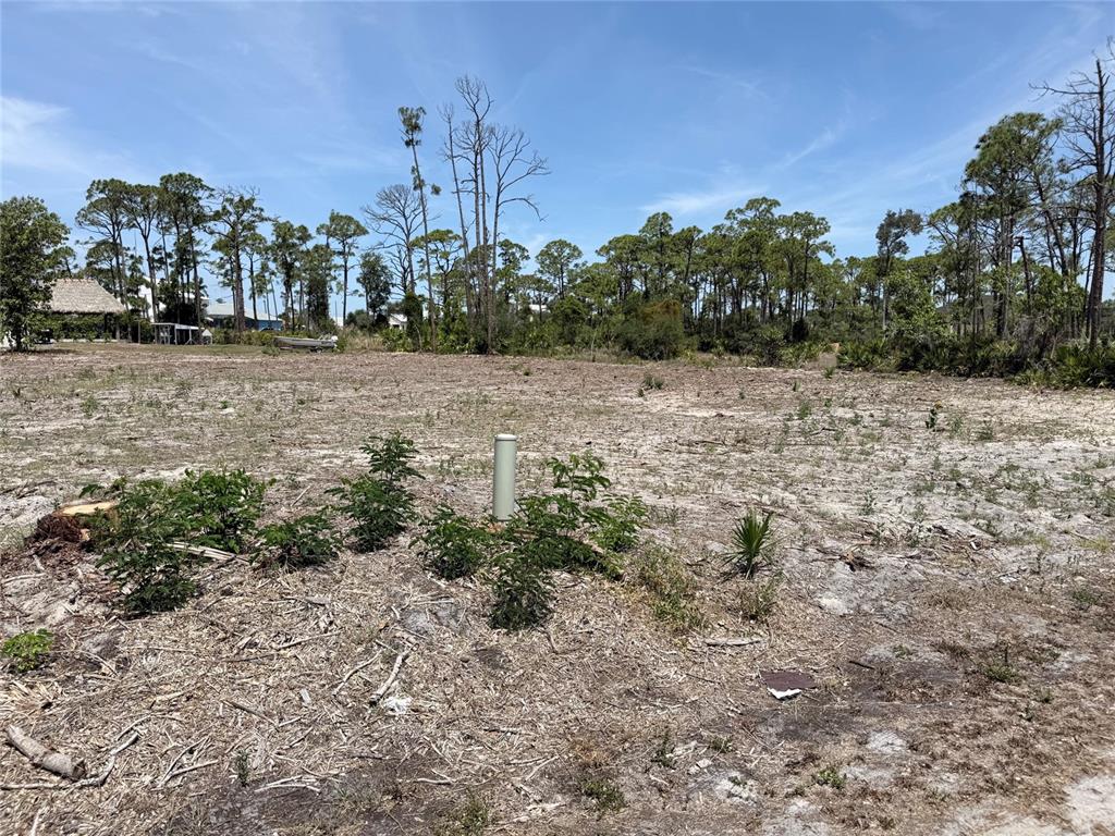 A vacant, cleared lot features sandy soil, scattered small vegetation, and a utility pipe — 1890 VIRGINIA AVENUE, ENGLEWOOD, FL