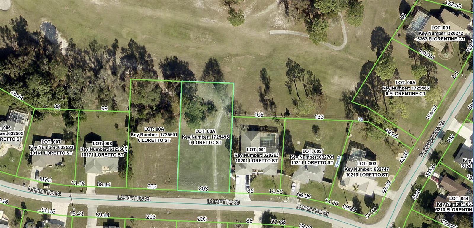 This is a property map showing residential lots along a street — 0 Tbd Loretto Lot 4 Street, Spring Hill FL 34608, SPRING HILL, FL