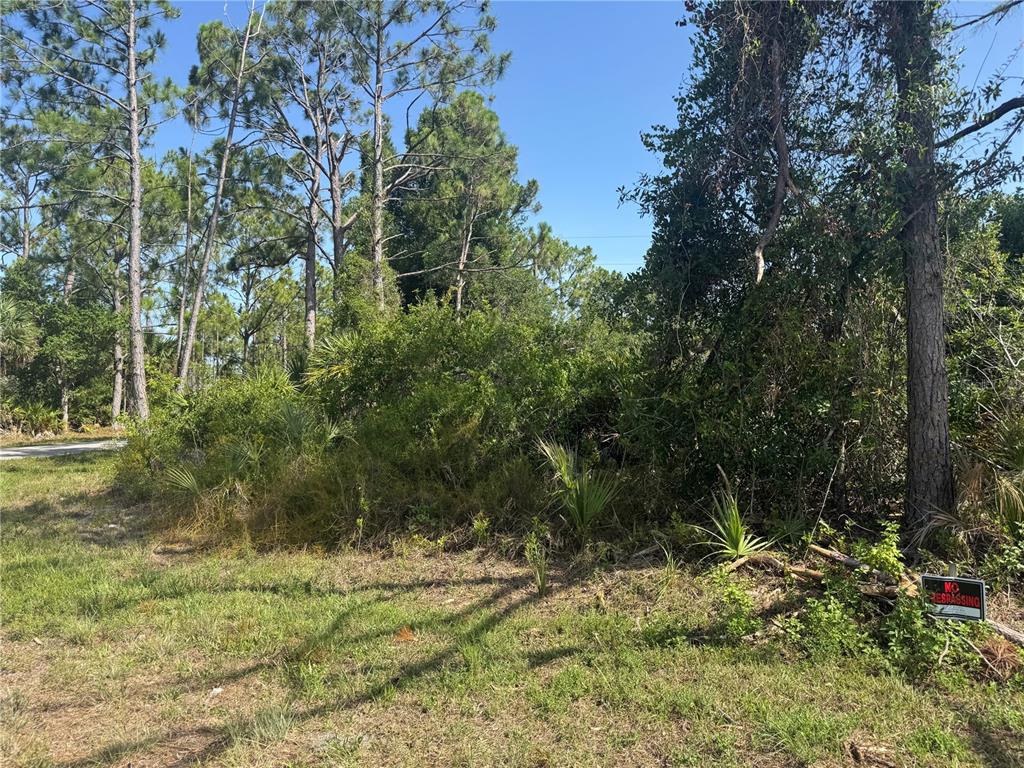 A vacant, wooded lot features dense vegetation, tall pine trees, and a no trespassing sign — 12231 GERRITY AVENUE, PORT CHARLOTTE, FL