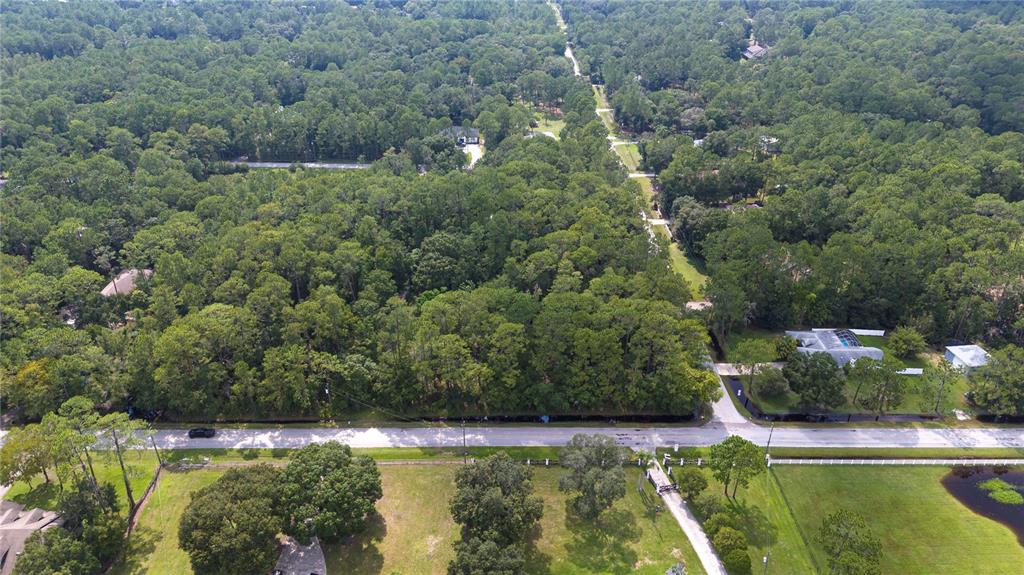 WEST DRIVE, WESLEY CHAPEL, FL — photo 2 of 13