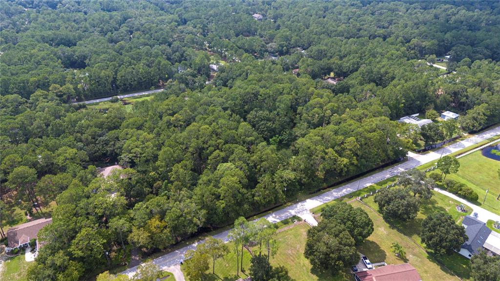 WEST DRIVE, WESLEY CHAPEL, FL — photo 3 of 13