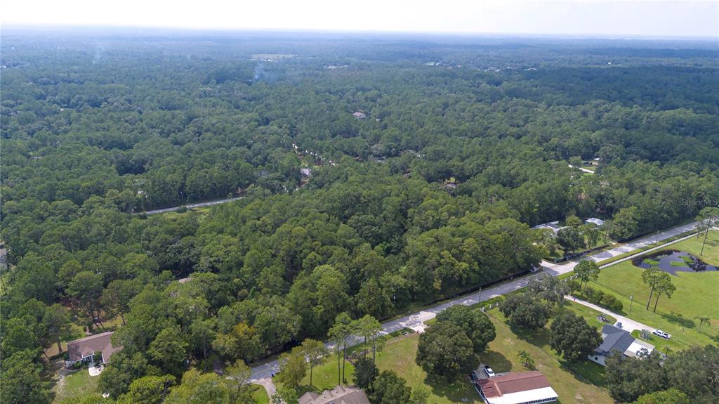 WEST DRIVE, WESLEY CHAPEL, FL — photo 4 of 13