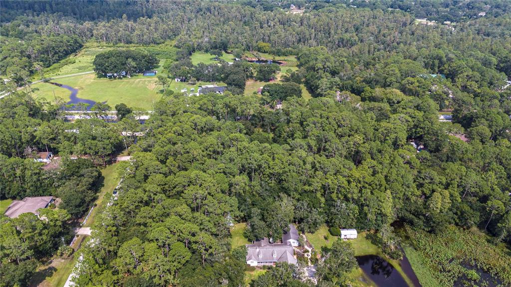 WEST DRIVE, WESLEY CHAPEL, FL — photo 5 of 13