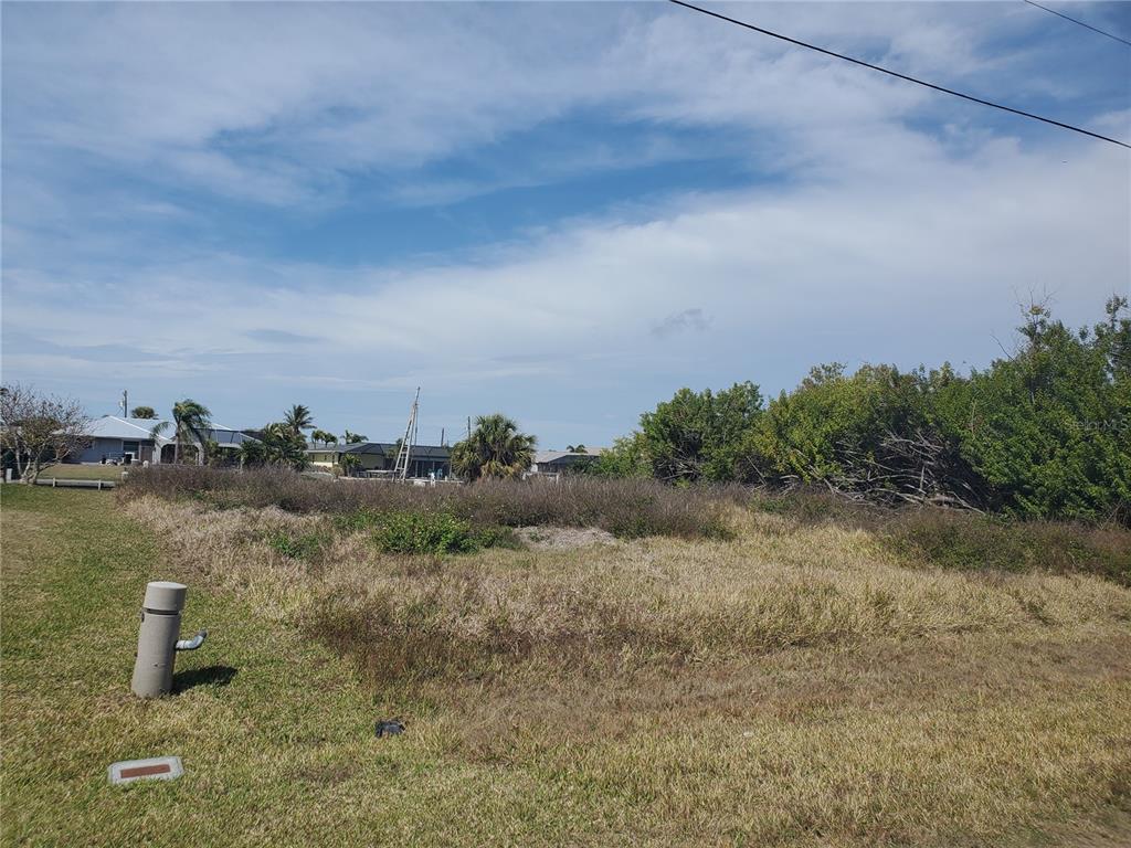 A vacant, grassy lot with scattered brush and trees under a blue sky — 5299 EARLY TERRACE, PORT CHARLOTTE, FL