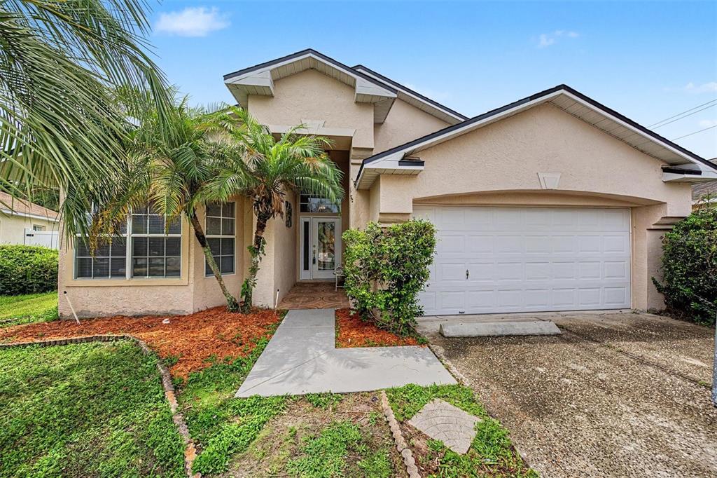 A single-story stucco house with a two-car garage, a palm tree, and a concrete walkway — 10238 CHARLESTON CORNER ROAD, TAMPA, FL