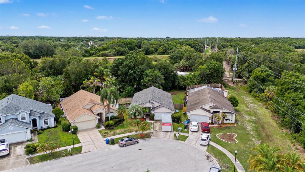 An aerial view shows three suburban houses with driveways along a curved residential street — 10238 CHARLESTON CORNER ROAD, TAMPA, FL