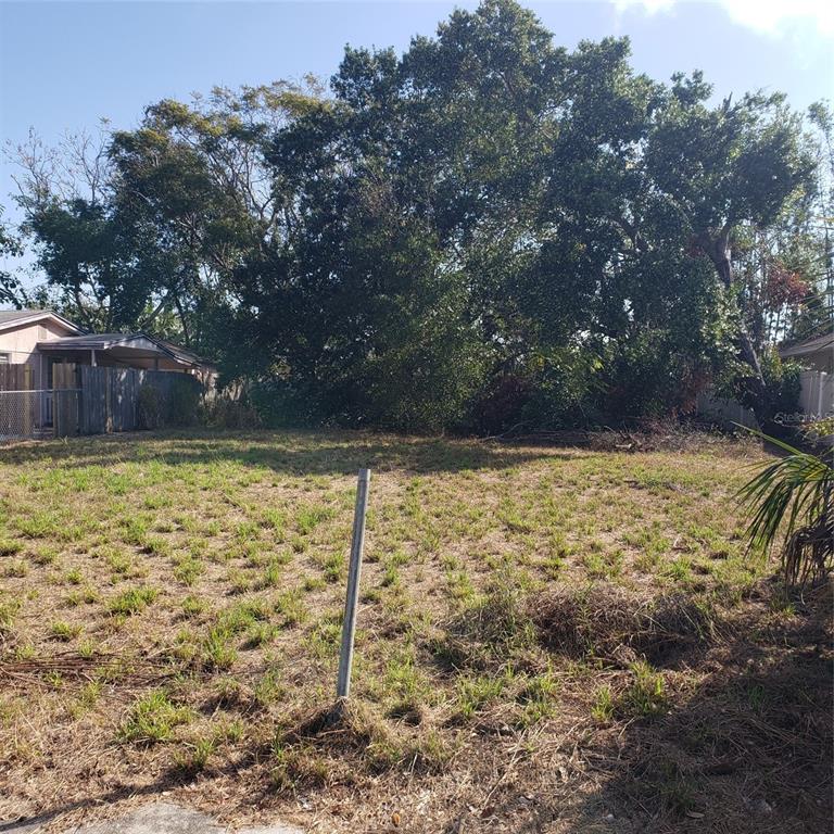 A vacant, grassy residential lot features a single metal post and large trees in the background — VIRGINIA AVENUE, TARPON SPRINGS, FL