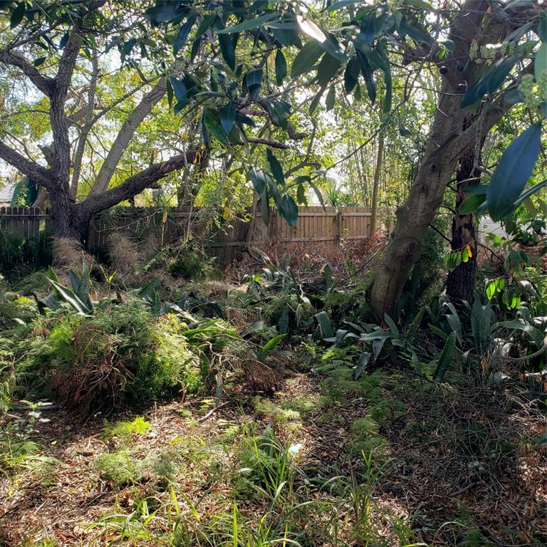 A backyard area features overgrown vegetation, fallen branches, and a wooden fence in the background — VIRGINIA AVENUE, TARPON SPRINGS, FL