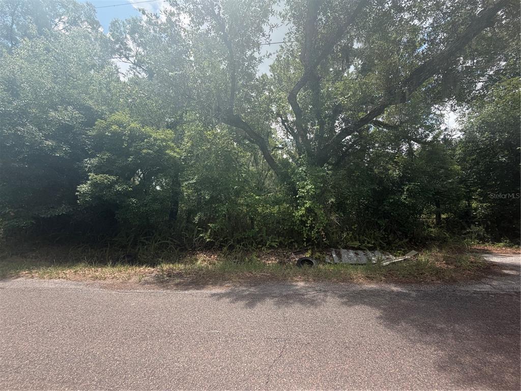 A view of a wooded, undeveloped lot from an adjacent paved road — 4447 EDWARDS RD, PLANT CITY, FL