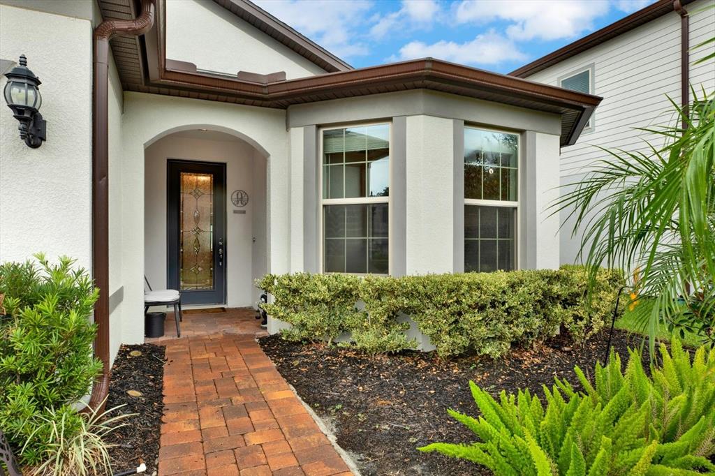 19234 MOSSY PINE DRIVE, TAMPA, FL — photo 2 of 30