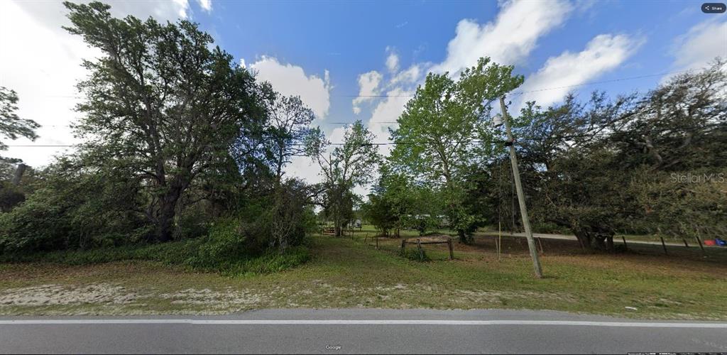 A grassy, tree-lined vacant lot sits adjacent to a paved road under a blue sky — DEEN STILL ROAD, POLK CITY, FL