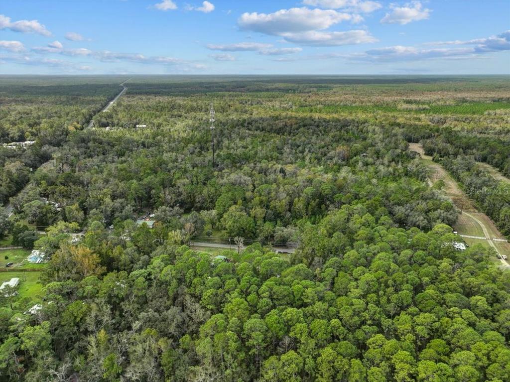 An aerial view shows a dense, wooded landscape with a road and a cell tower — 310 N OTTER CREEK AVENUE, BRONSON, FL