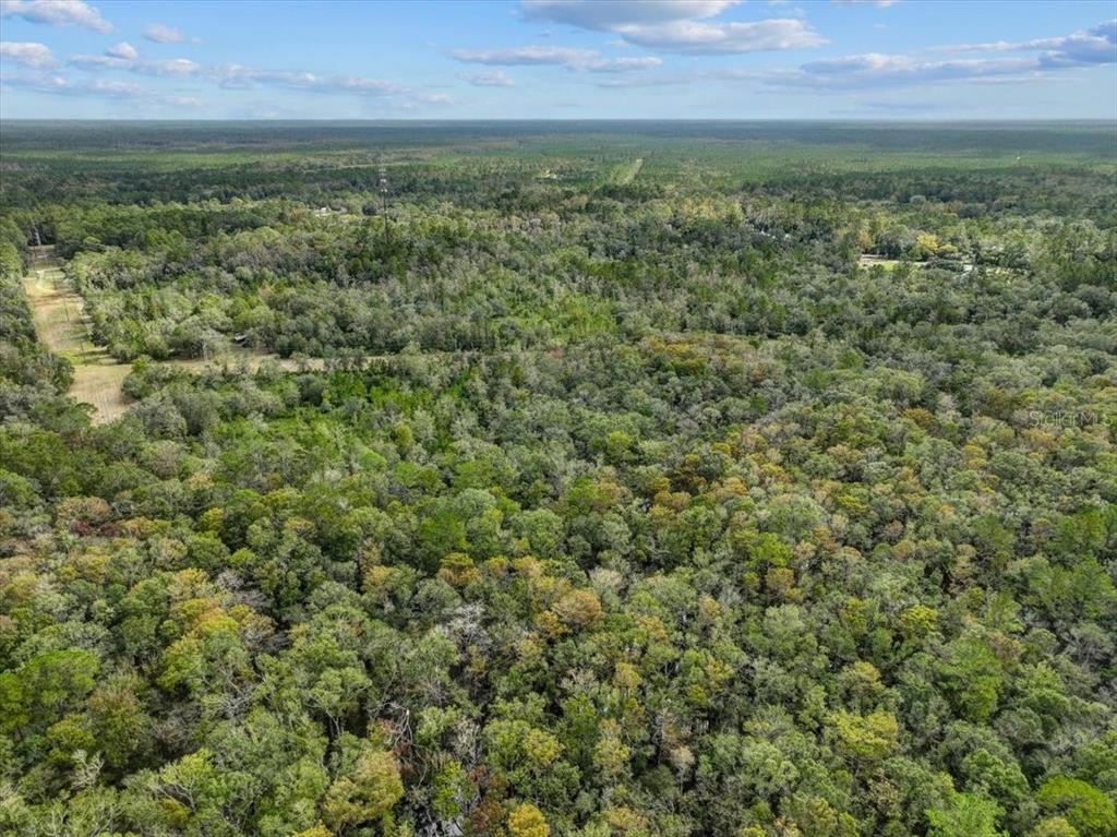 An aerial view shows a dense, wooded forest landscape under a blue sky — 310 N OTTER CREEK AVENUE, BRONSON, FL