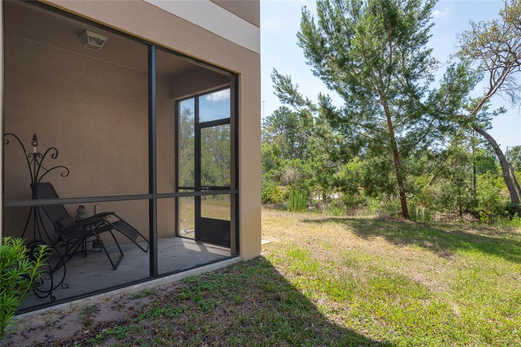 A screened-in patio with a lounge chair overlooks a grassy yard and wooded area — 11704 CASTINE STREET, NEW PORT RICHEY, FL