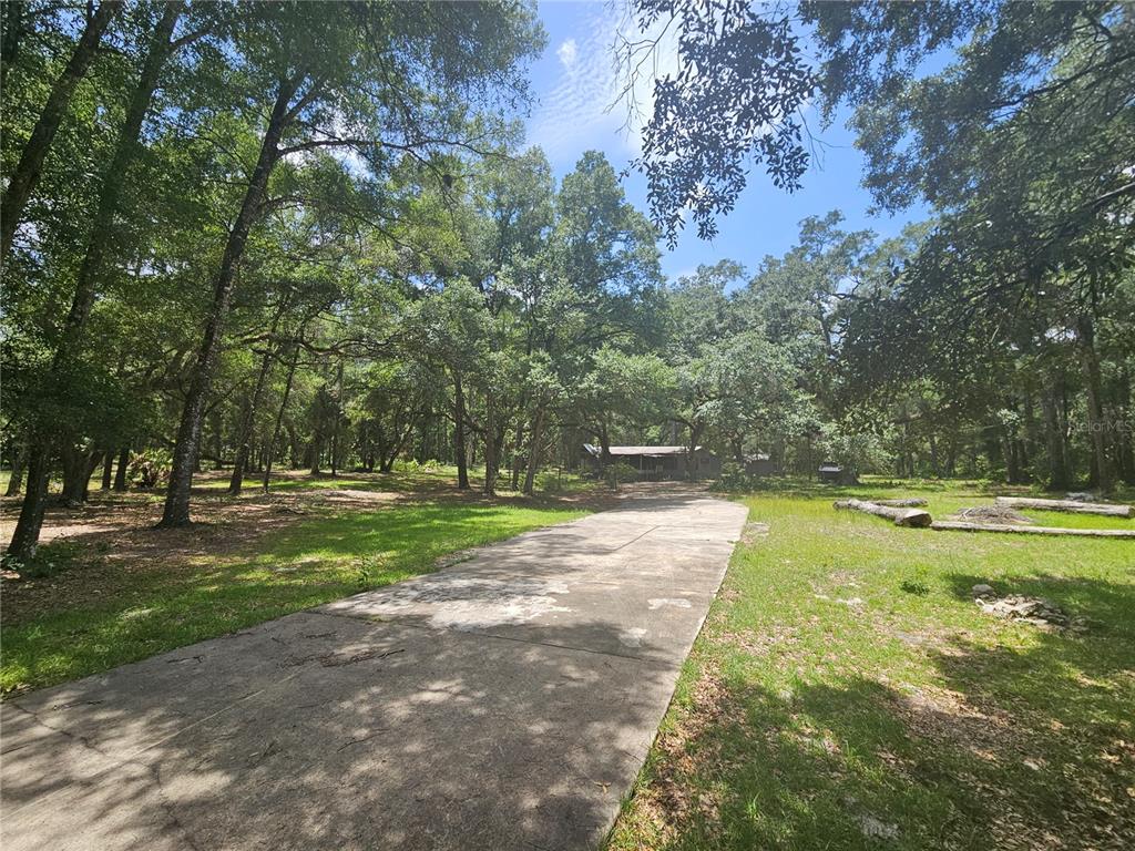 A concrete driveway leads toward a house nestled among many tall trees — 7850 NE 178TH TERRACE, WILLISTON, FL