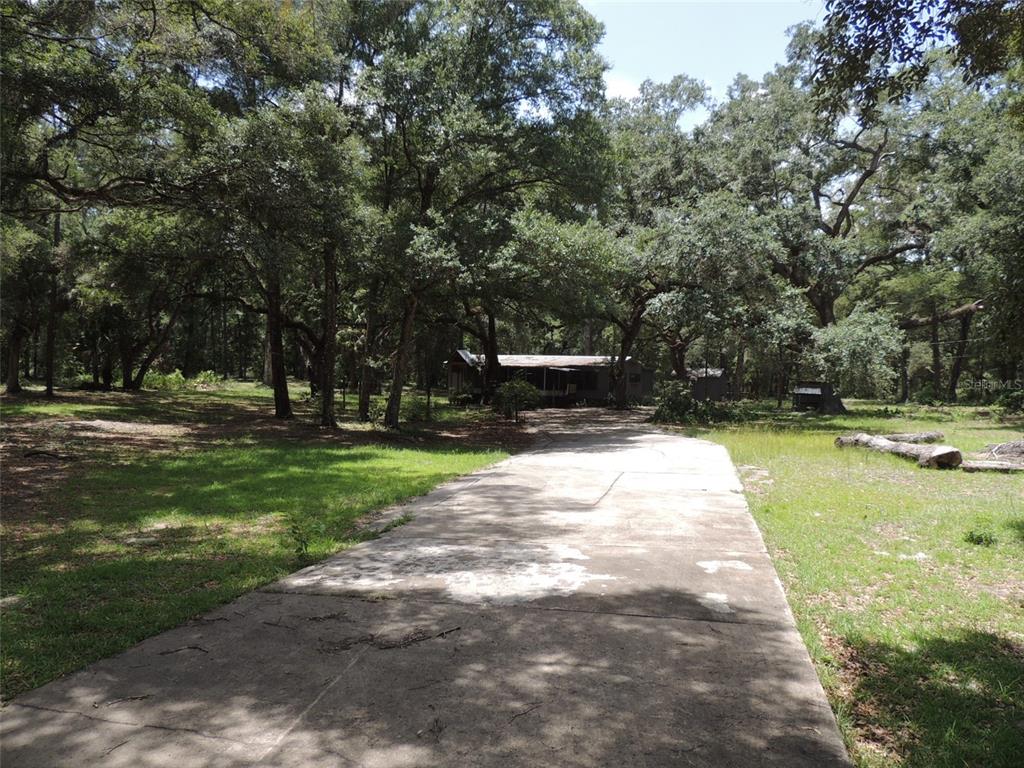 A concrete driveway leads toward a house nestled among many large, mature trees — 7850 NE 178TH TERRACE, WILLISTON, FL