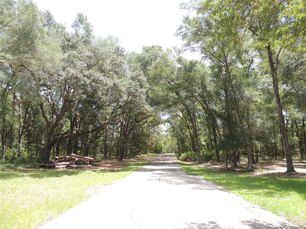 A paved driveway leads through a wooded area with mature trees and a log pile — 7850 NE 178TH TERRACE, WILLISTON, FL