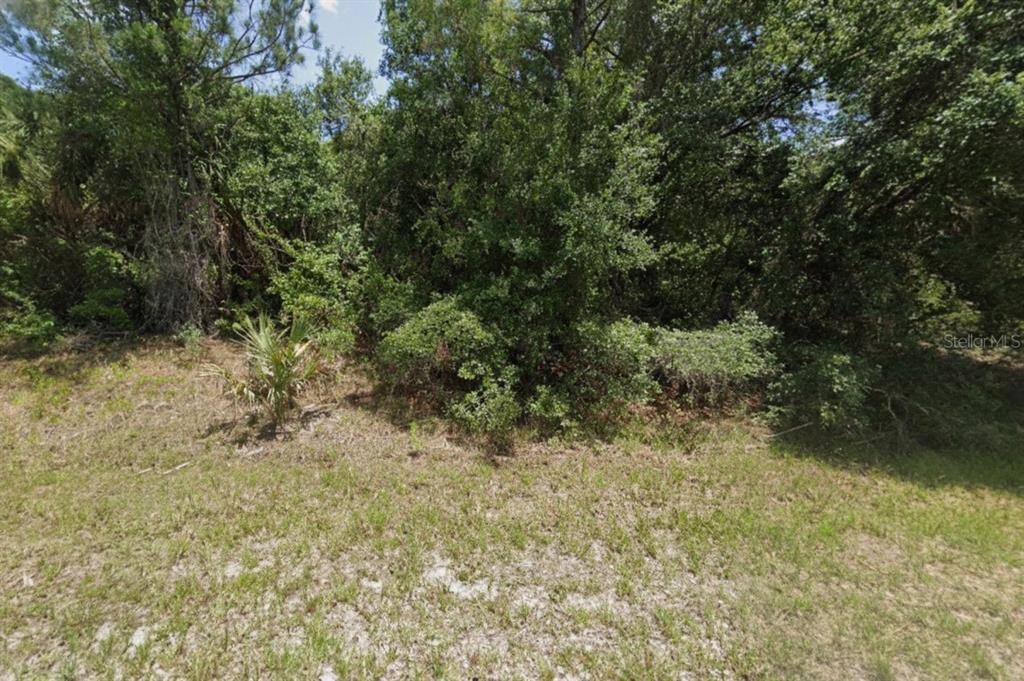 A view of a grassy lot with dense trees and shrubs in the background — WYLAM DRIVE, NORTH PORT, FL