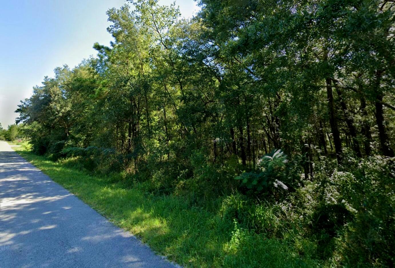 A paved road runs alongside a dense, wooded lot with mature trees and green undergrowth — Lot 29 NW 112th Avenue, Ocala FL 34482, OCALA, FL
