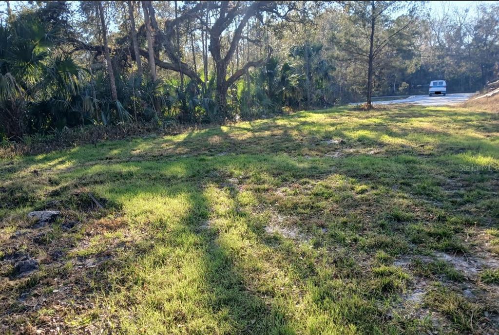 1013 CUPID AVENUE, CHRISTMAS, FL — photo 2 of 30