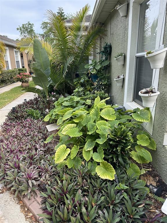 A lush garden bed with tropical plants and hanging pots sits beside a house exterior — 19113 DOVES LANDING DRIVE, TAMPA, FL