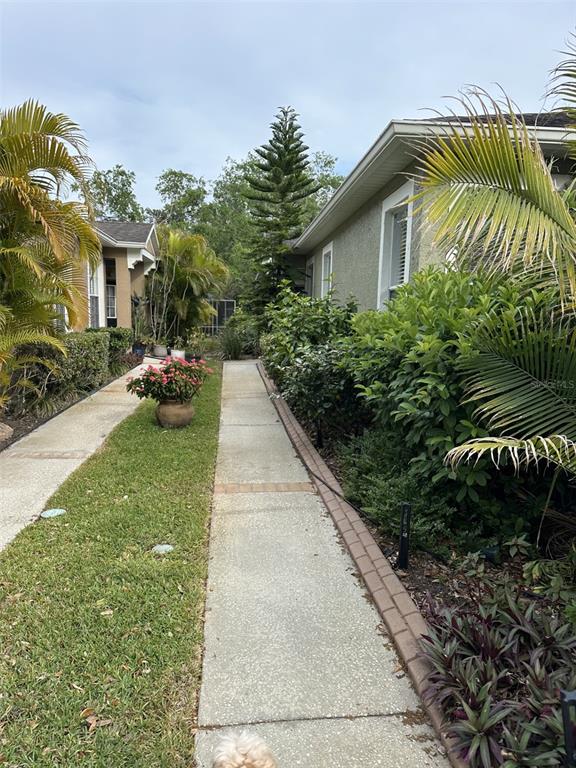 A concrete walkway leads between two houses surrounded by lush tropical landscaping and palm trees — 19113 DOVES LANDING DRIVE, TAMPA, FL