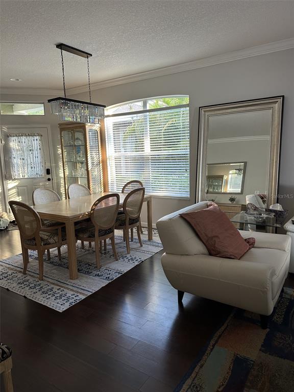 A dining area with a wooden table, chairs, a crystal chandelier, and a large floor mirror — 19113 DOVES LANDING DRIVE, TAMPA, FL