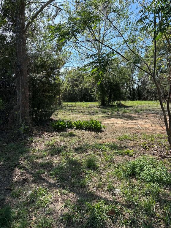 STATE ROAD 19, GROVELAND, FL — photo 2 of 8