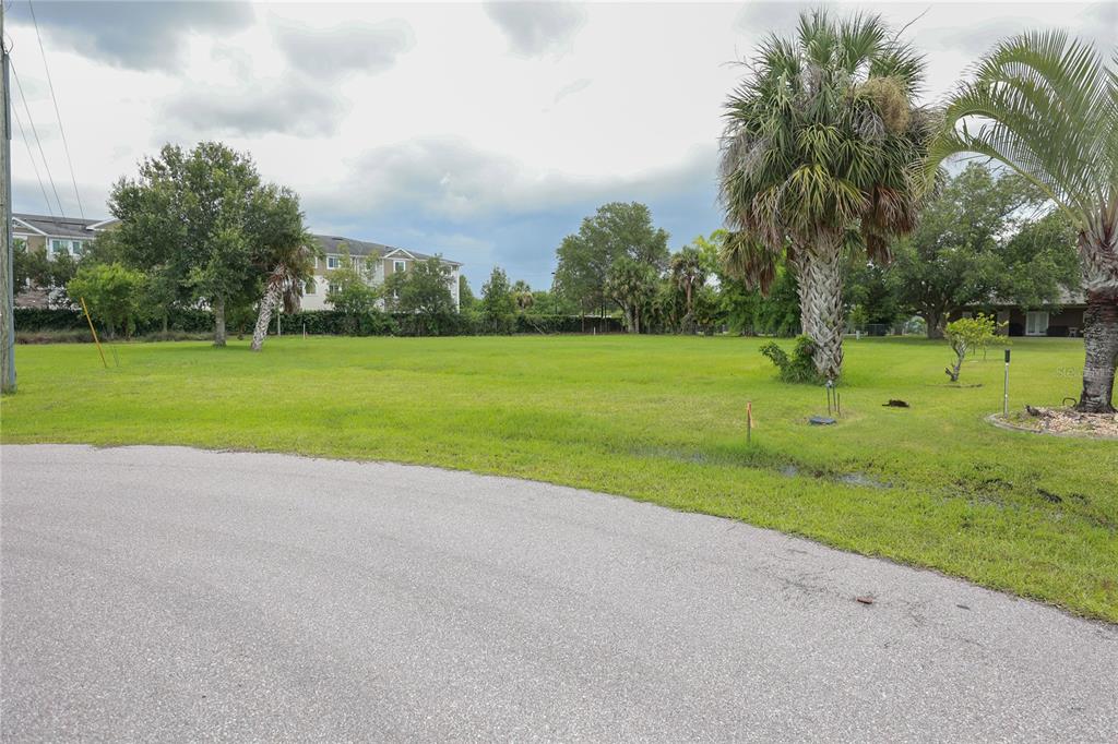 A grassy, vacant lot features several palm trees and mature trees under a cloudy sky — 481 GUYANA STREET, PUNTA GORDA, FL
