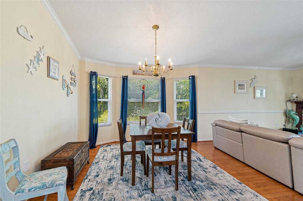 A dining area features a wooden table, blue curtains, a chandelier, and a patterned rug — 6170 SEASIDE DRIVE, NEW PORT RICHEY, FL