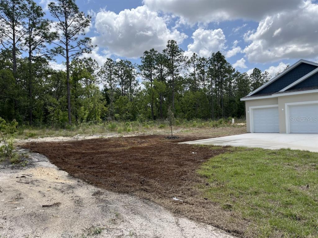 A view of a house exterior with a garage, a concrete driveway, and a dirt yard — 12416 SW 67TH LANE, OCALA, FL