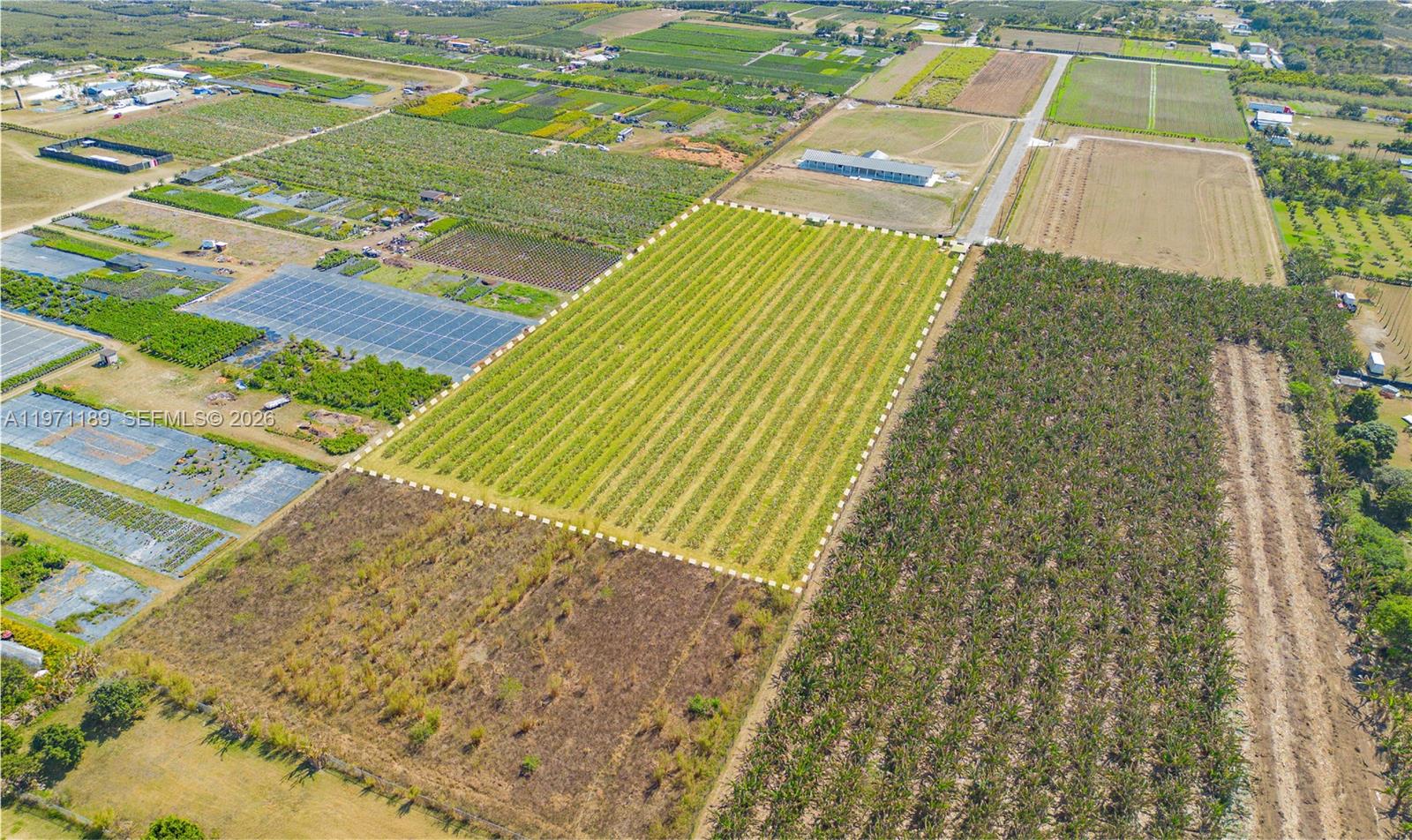 An aerial view shows a rectangular agricultural plot outlined in white amidst surrounding farmland — 139XX sw 180TH AVE, Miami FL 33196, MIAMI, FL