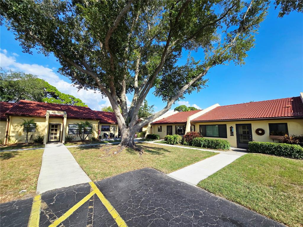 A large tree stands between two single-story residential buildings with red tile roofs — 1225 56TH STREET W, BRADENTON, FL