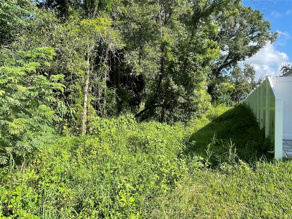 A view of a grassy, overgrown lot bordered by a white vinyl fence and trees — 305 CYPRESS STREET, ORLANDO, FL