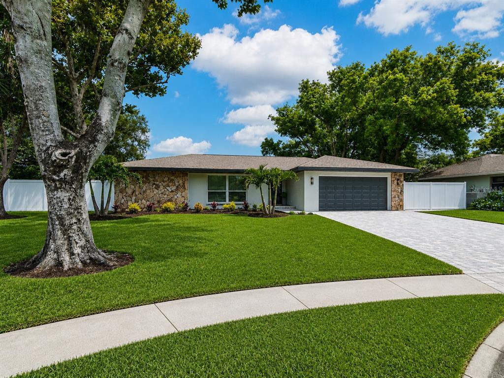 The exterior of a house features a paved walkway, a dark front door, and palm trees — 1967 CASTILLE DRIVE, DUNEDIN, FL