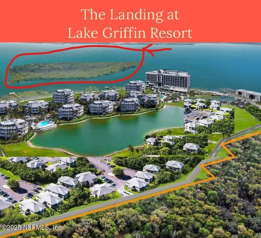 This aerial rendering shows a resort complex with multiple buildings, a lake, and surrounding woods — 6001 BIRD ISLAND DRIVE, LADY LAKE, FL