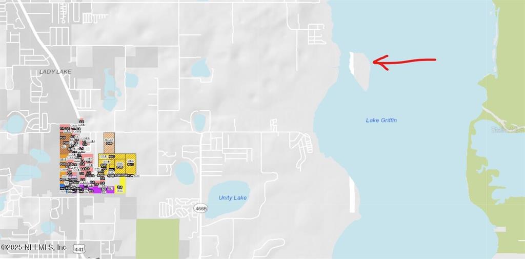 This is a map showing land parcels near Lake Griffin and Unity Lake — 6001 BIRD ISLAND DRIVE, LADY LAKE, FL