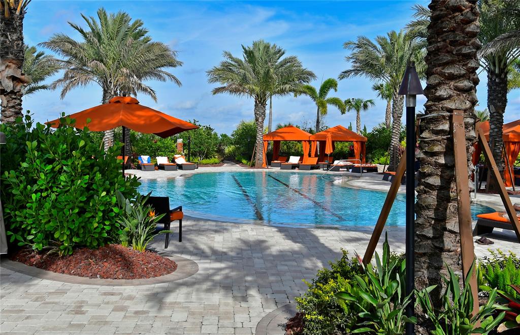 A swimming pool with orange umbrellas and cabanas surrounded by palm trees and landscaping — 5007 SERATA DRIVE, BRADENTON, FL