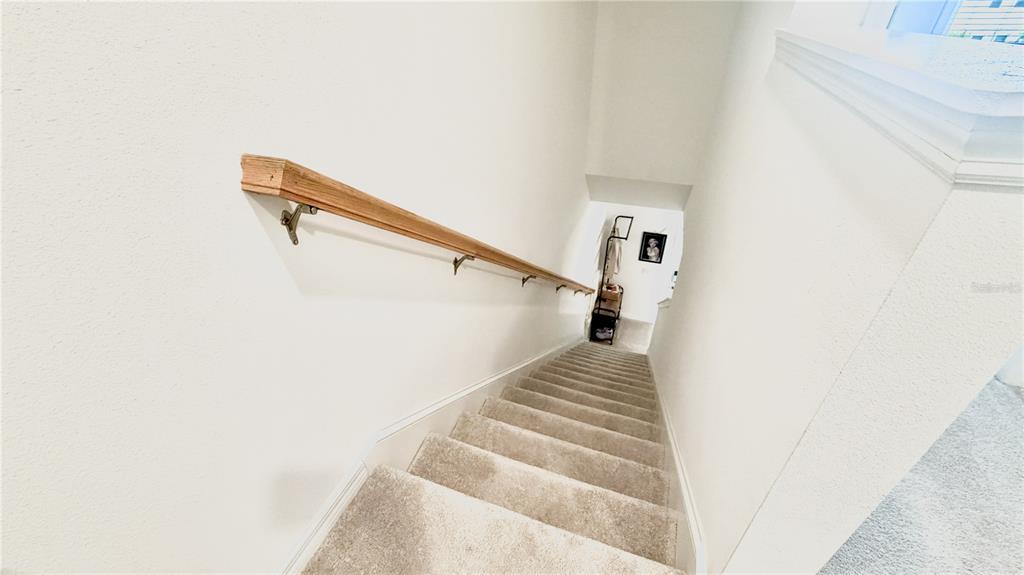 A carpeted staircase with a wooden handrail leads down to a small landing area — 3244 SKYLINE LOOP, KISSIMMEE, FL