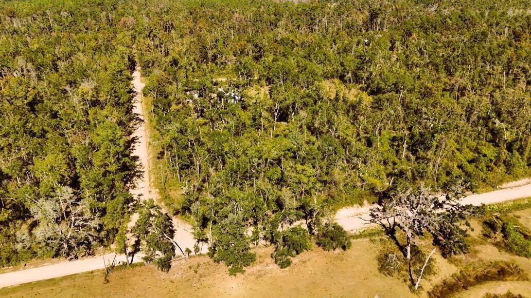 An aerial view shows a dirt road leading into a dense, wooded forest area — Lot 56 NW 29th Loop, FL 32053, FL