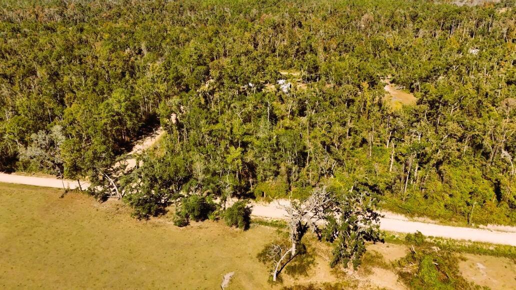 An aerial view shows a dirt road bordering a large, wooded lot and open pasture — Lot 56 NW 29th Loop, FL 32053, FL